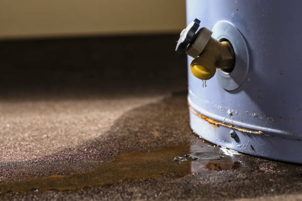 Professional Water damage restoration in FL