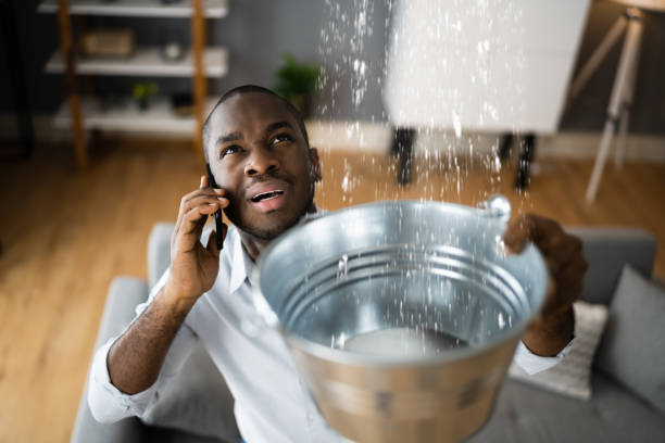 Best Mold removal after water damage  in Washington Park, FL