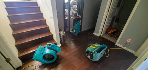 Best Basement water damage restoration  in Washington Park, FL