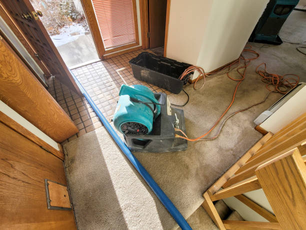 Best Water damage restoration near me  in Washington Park, FL