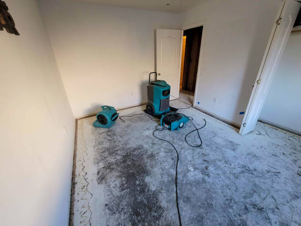 Best Water damage restoration company  in Washington Park, FL