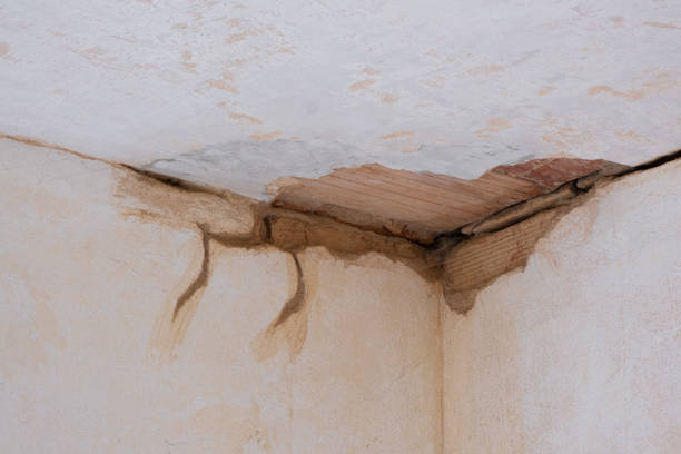  Washington Park, FL Water damage restoration Pros
