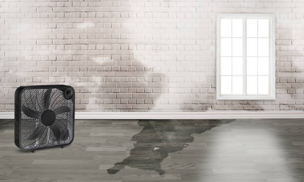 Best 24-hour water damage restoration  in Washington Park, FL