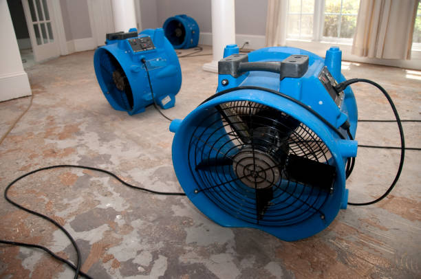 Best Flooded house restoration  in Washington Park, FL