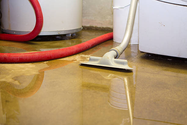 Best Water damage repair service  in Washington Park, FL