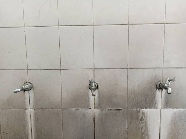 Best Water damage restoration experts  in Washington Park, FL
